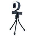 10292772.jpg