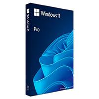 MICROSOFT OEM KIT DE LEGALIZACION GGK WINDOWS 11 PROFESIONAL 64 BITS ESPAÑOL LAT 1PK DSP DVD